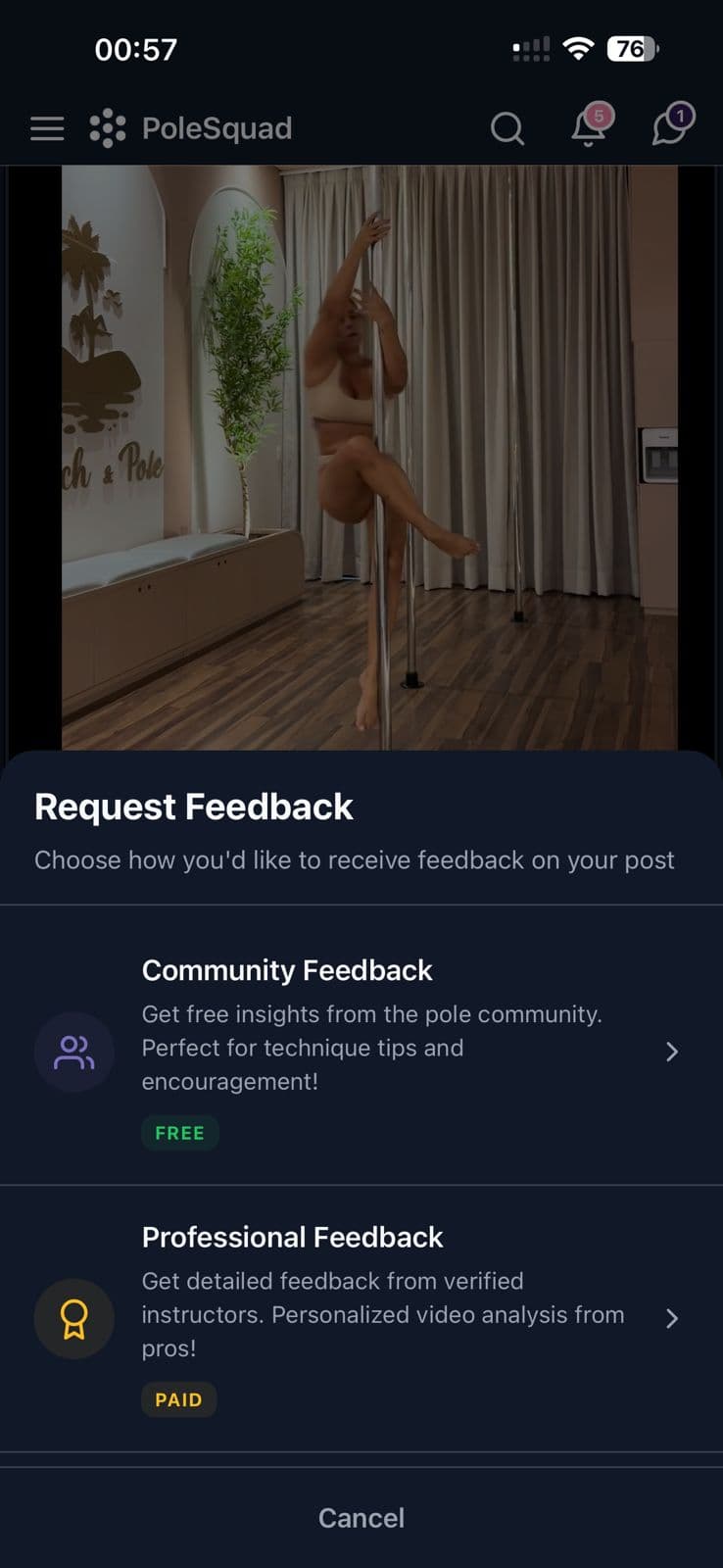 PoleSquad Request Feedback